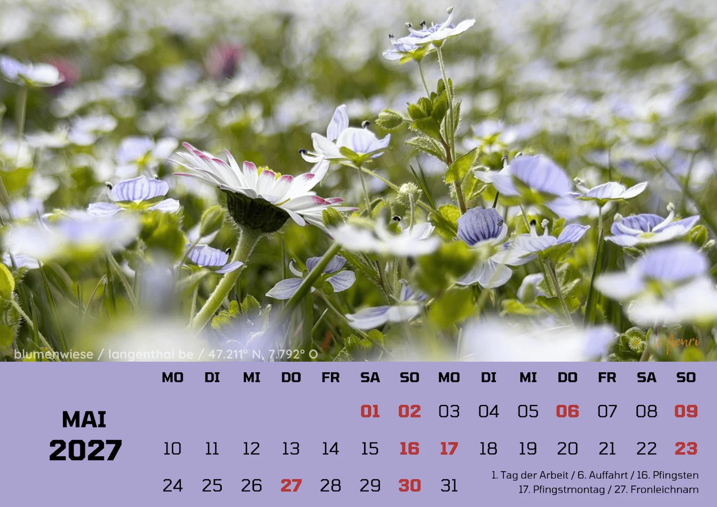Kalender Bild 2
