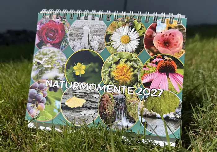 Kalender Bild 1